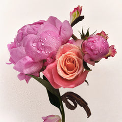 Scent Layering Trio A3