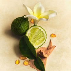 Scent Layering Trio E1
